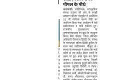 Sahityakar-Ropenge-Peepal
